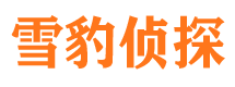 兴国侦探公司